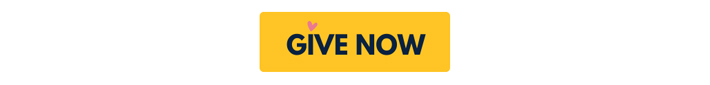 Give Now button